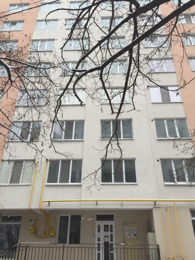Center Apartment On Albisoara Street Chisináu Exterior foto